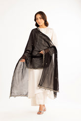 1 Piece Chiffon Embroidered Dupattas/Stoles (FD0039)